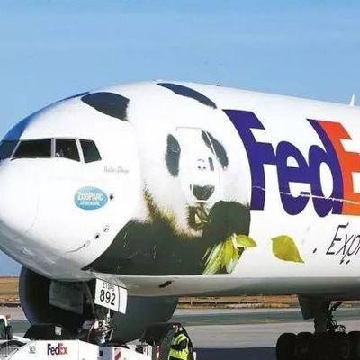 کیفیت  EXPRESS Delivery To France Ups DHL Fedex Door To Door International Shipping کارخانه
