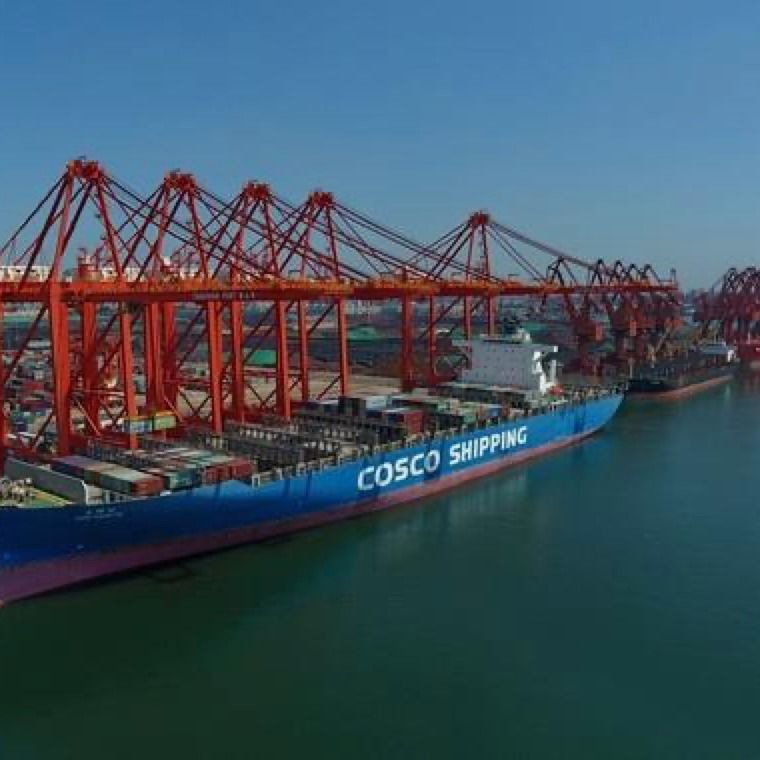 3c Global Drop Shipping Center FOB LCL Sea China به اردن 3 روزه Exw Freight Forwarder